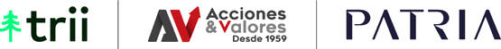 trii, Acciones & Valores y Patria